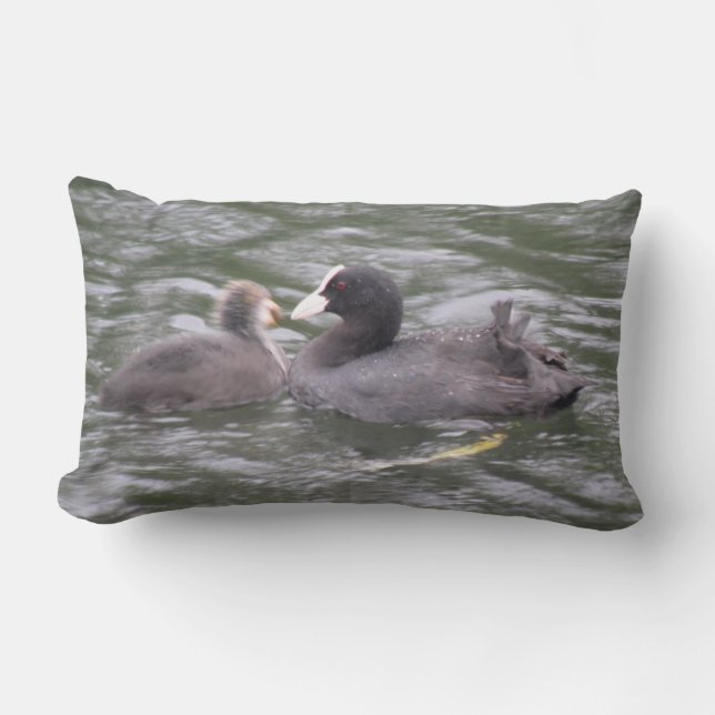Coot Feeding Hungry Chick Pillow (Front)