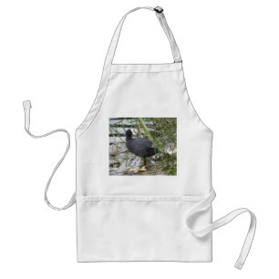 Coot on the Riverbank Apron