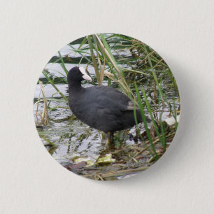 Coot on the Riverbank Button