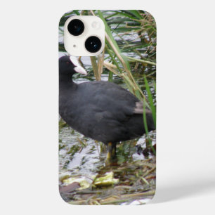 Coot on the Riverbank Case-Mate iPhone 14 Case