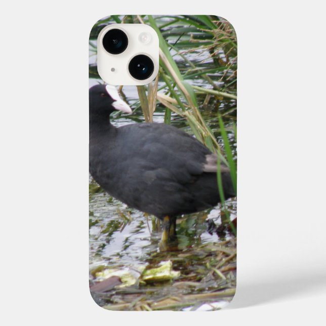 Coot on the Riverbank Case-Mate iPhone Case (Back)