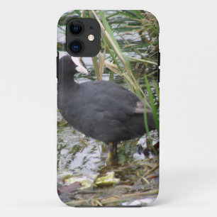 Coot on the Riverbank iPhone Case