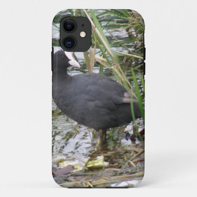 Coot on the Riverbank iPhone Case (Back)