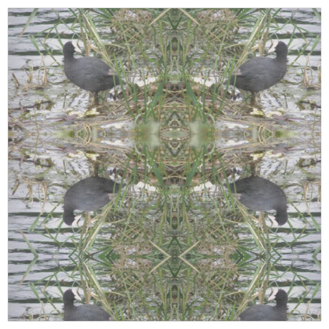 Coot on the Riverbank Patterned Animal Fabric (Swatch)