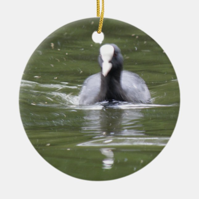 Coot Swimming Custom Birthday Ceramic Ornament (Front)