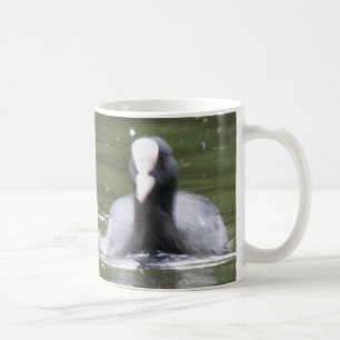 Coot Swimming Mug