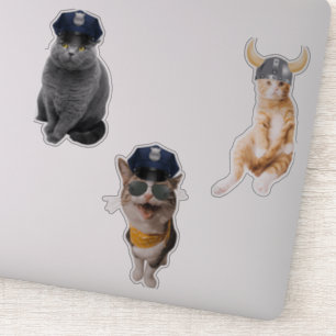Cop Cat