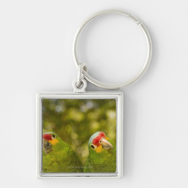 Copan, Honduras Key Ring (Front)