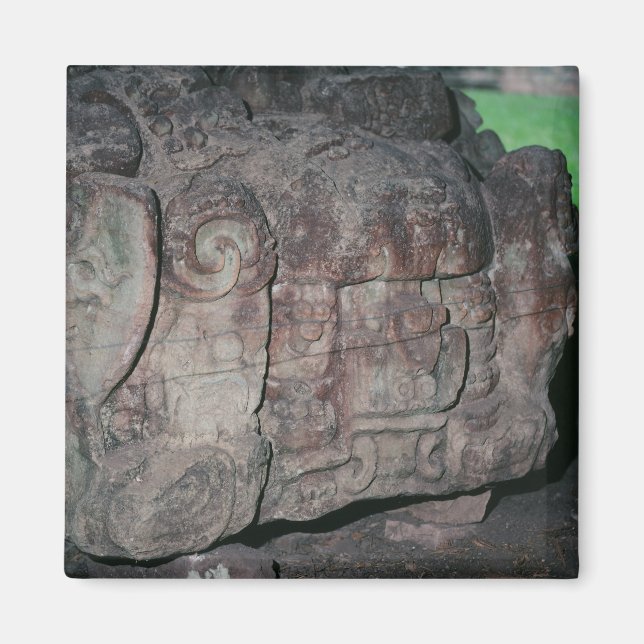 Copan Honduras Mayan Ruins Colour Photo Designed Magnet (Front)