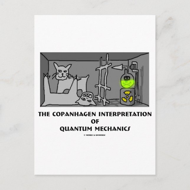 Copanhagen Interpretation Of Quantum Mechanics Postcard (Front)