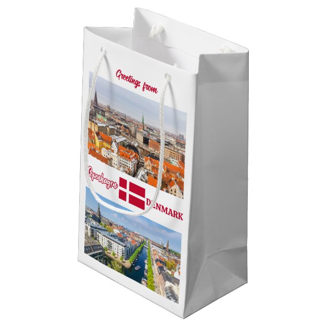 Copenhagen Denmark Small Gift Bag (Back Angled)