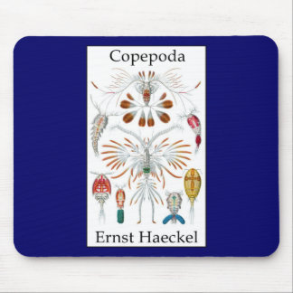 Copepoda by Ernst Haeckel Mouse Pad