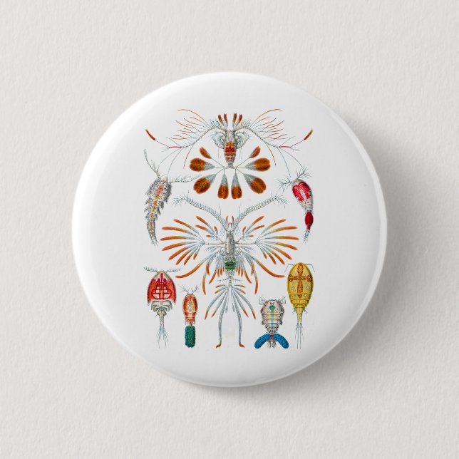 Copepods 6 Cm Round Badge (Front)