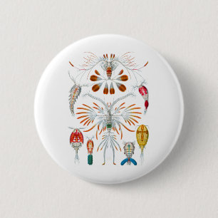 Copepods 6 Cm Round Badge
