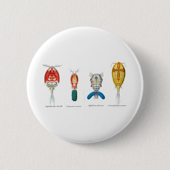 Copepods 6 Cm Round Badge (Front)
