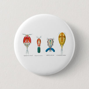 Copepods 6 Cm Round Badge