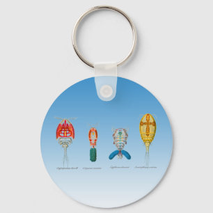 Copepods Key Ring