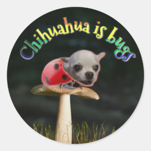 Copernicus bug Sticker