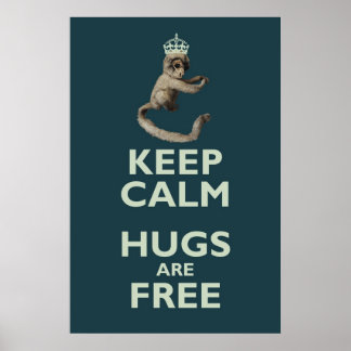 Copernicus-the-homicidal-monkey poster