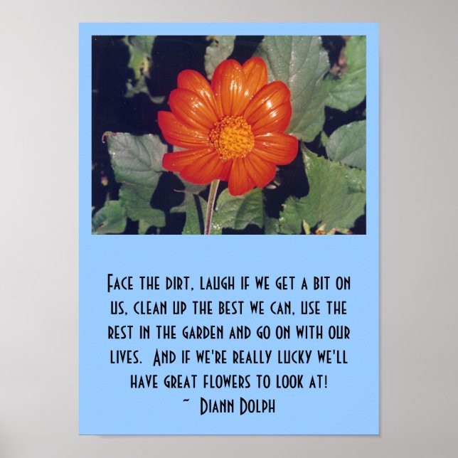 COPING (dirt) - poster (Front)