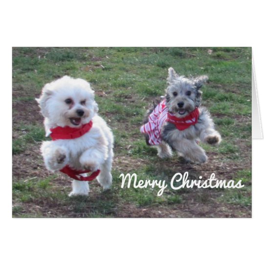 Copper and Penny Christmas Card
