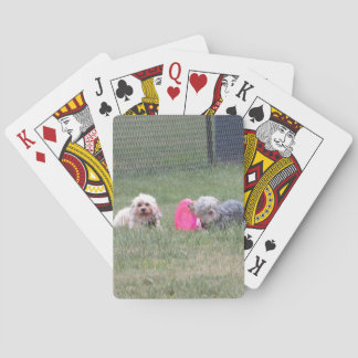 Copper and Penny Playing Cards