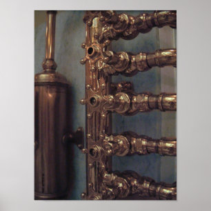 Copper Beauties Poster