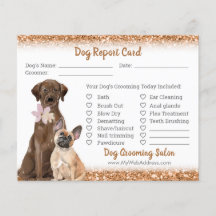 Copper Glitter Dog Grooming Report Card Flyer