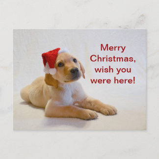 "Copper" says Merry Christmas! Holiday Postcard