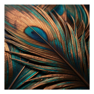 Copper Teal Peacock Feather Macro Luxury Poster
