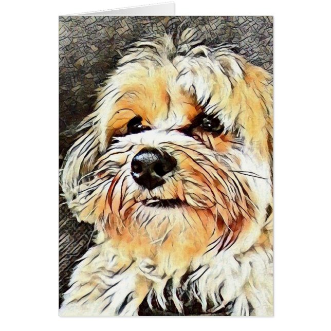 Copper the Morkie Card (Front)