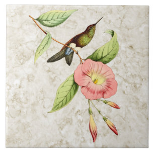 Coppery Bellied Puffleg Hummingbird Ceramic Tile