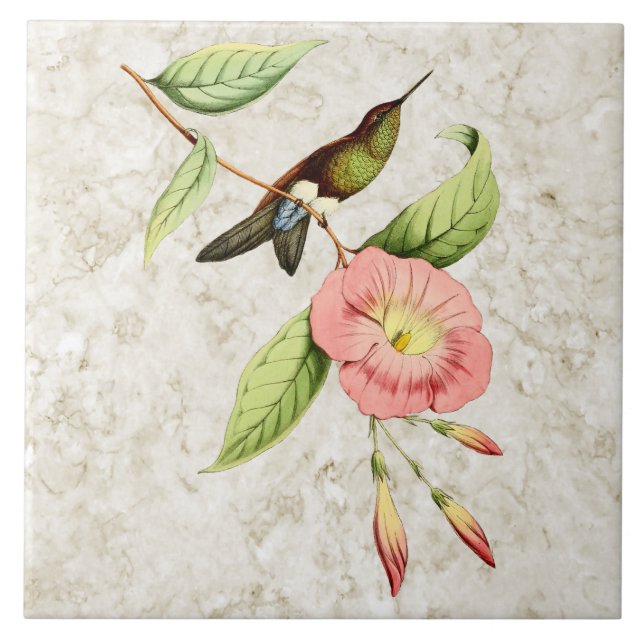 Coppery Bellied Puffleg Hummingbird Ceramic Tile (Front)