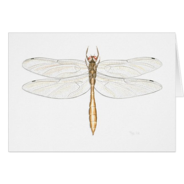 Coppery Emerald Dragonfly Card (Front Horizontal)