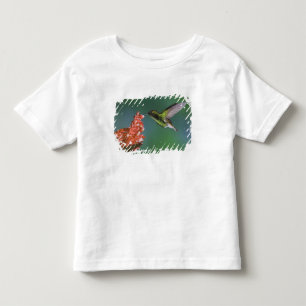 Coppery-headed Emerald, Elvira cupreiceps, Toddler T-Shirt