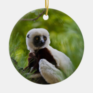 Coquerel's Sifaka in the forest 2 Ceramic Ornament