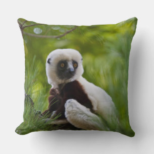 Coquerel's Sifaka in the forest 2 Cushion
