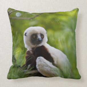 Coquerel's Sifaka in the forest 2 Cushion
