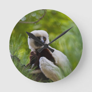 Coquerel's Sifaka in the forest 2 Round Clock