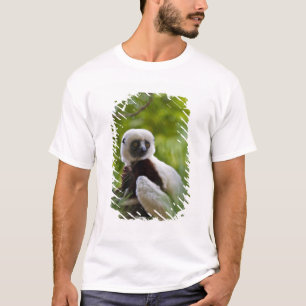 Coquerel's Sifaka in the forest 2 T-Shirt