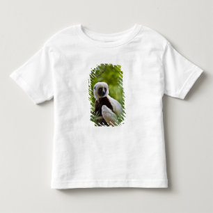 Coquerel's Sifaka in the forest 2 Toddler T-Shirt