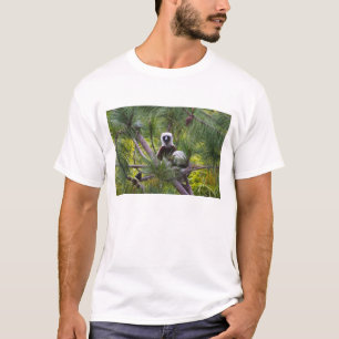Coquerel's Sifaka in the forest T-Shirt
