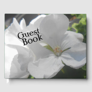 Coquet Guest Book