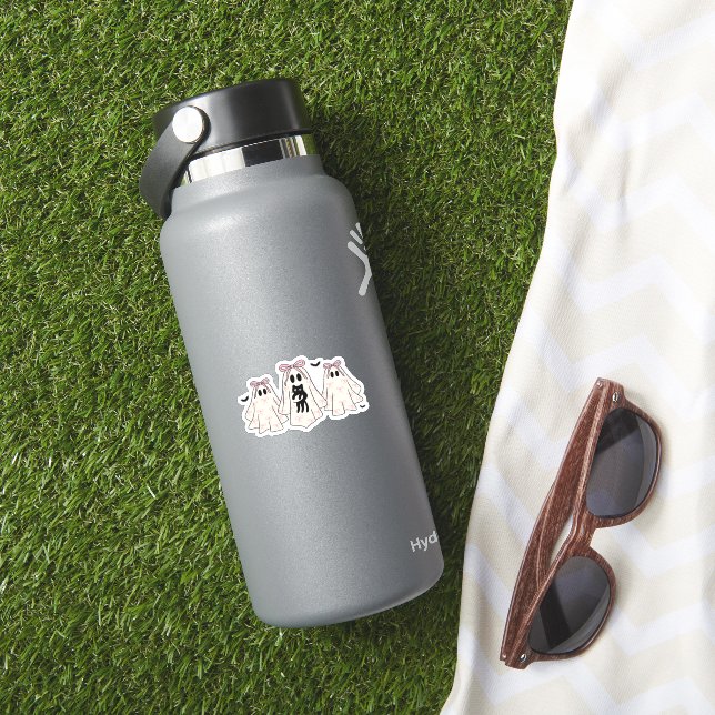 Coquette ghosts with a black cat Classic T-Shirt (HydroFlask Insitu)