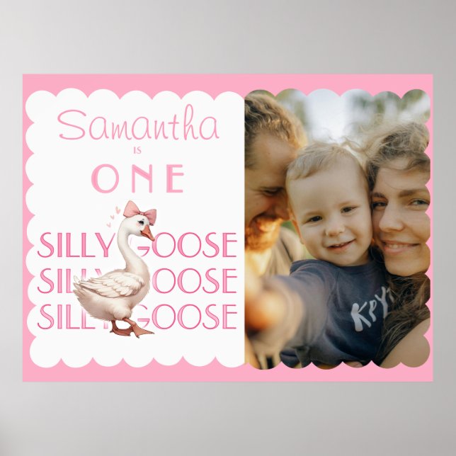 Coquette One Silly Goose Girl 1st Birthday Welcome Poster (Front)