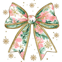 Coquette Style Hoodie