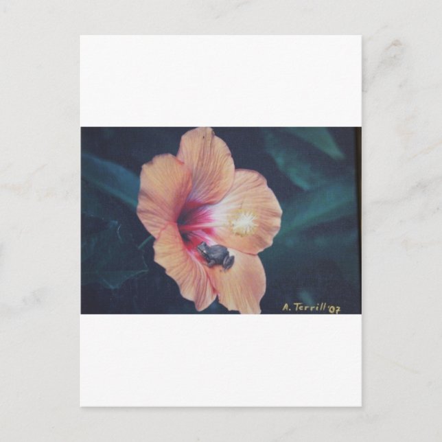 COQUI POSTCARD (Front)