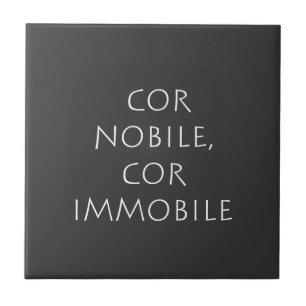 Cor nobile cor immobile ceramic tile