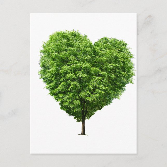 coração ecologico postcard (Front)