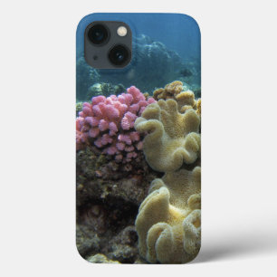 Coral, Agincourt Reef, Great Barrier Reef, iPhone 13 Case
